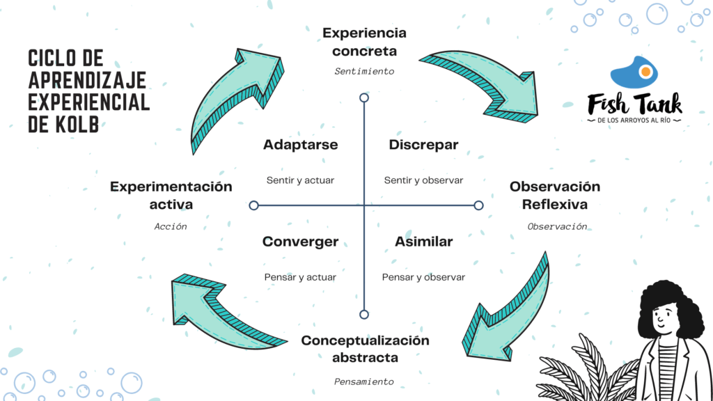 Ciclo De Aprendizaje Experiencial De Kolb - Todas Las Herramientas Fish ...